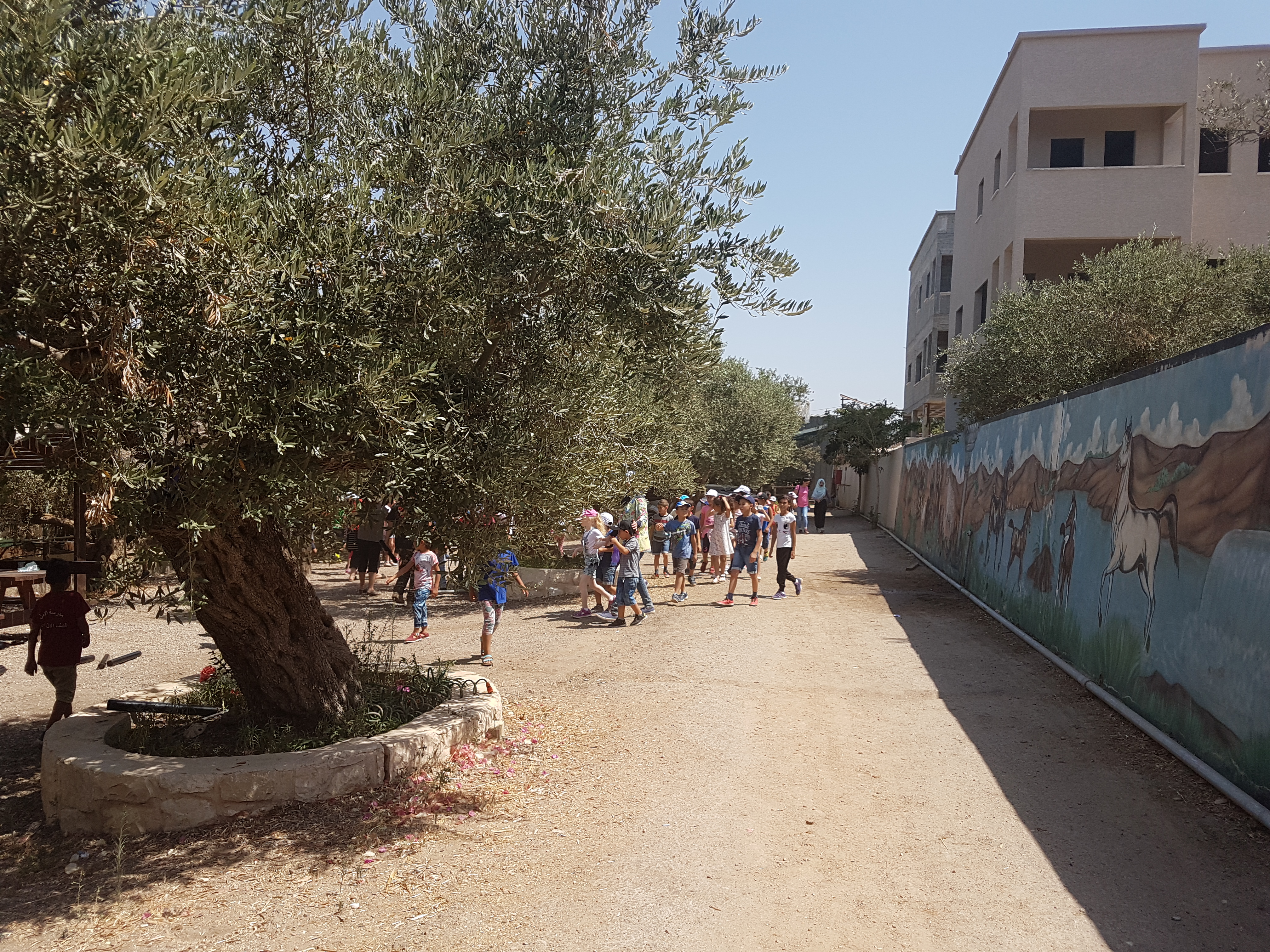 مشاهد من اليوم الثاني من المخيم الصيفي في ابو سنان لطلاب صفوف اول ثاني ثالث 