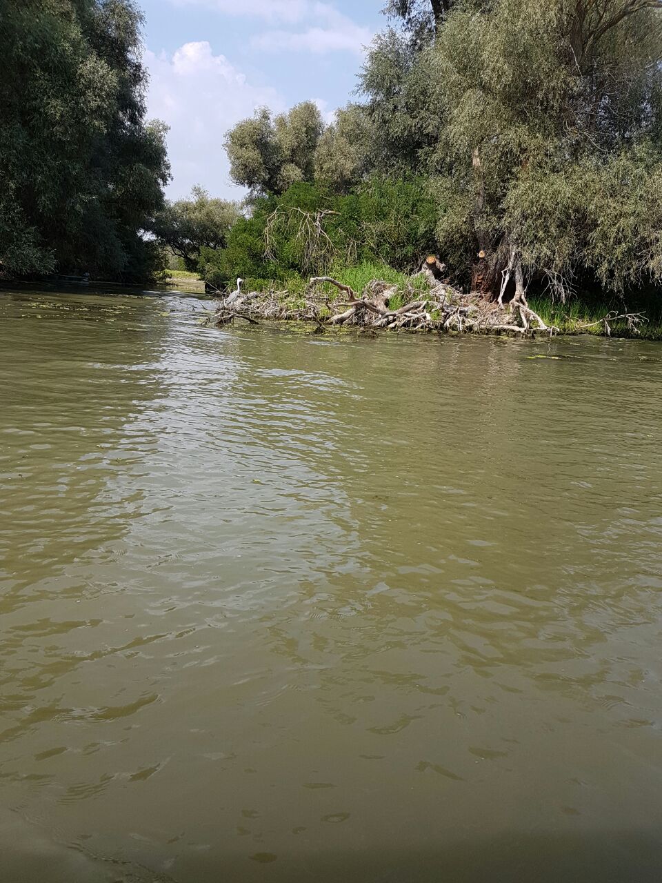 פעילויות | فعاليات