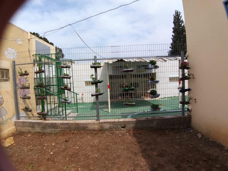 صور من الفعالية